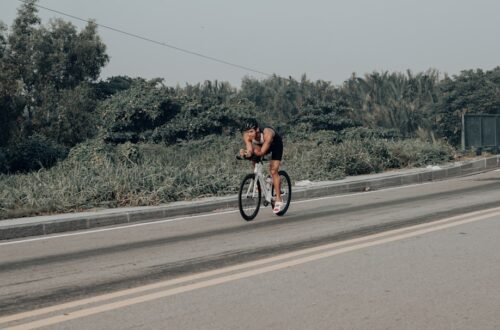 Photo Creatine cycling